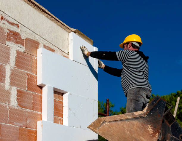 Best Residential Insulation in Encinal, TX