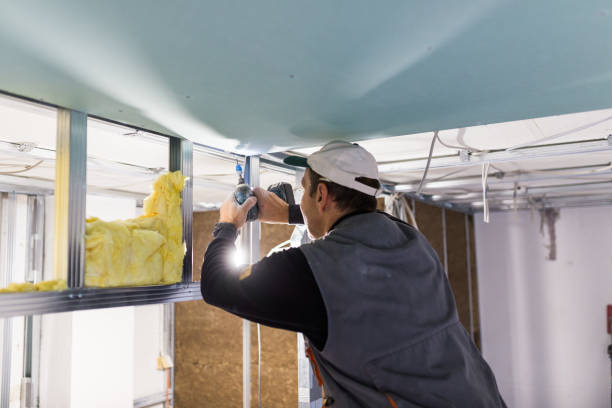 Best Fiberglass Insulation in Encinal, TX