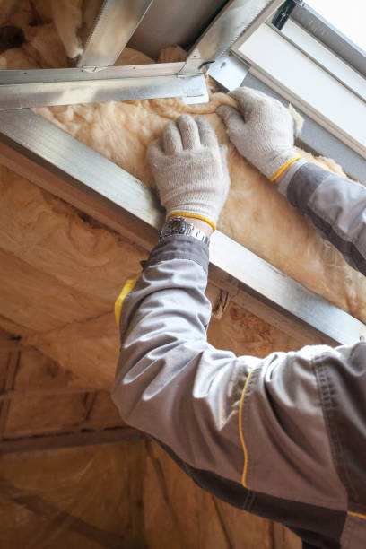 Best Blown-in Insulation in Encinal, TX