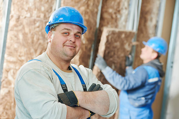 Best Cellulose Insulation in Encinal, TX